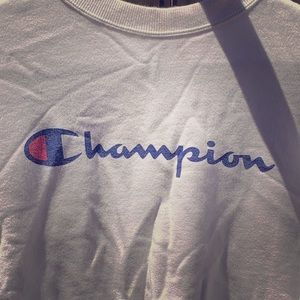Champion Sweater